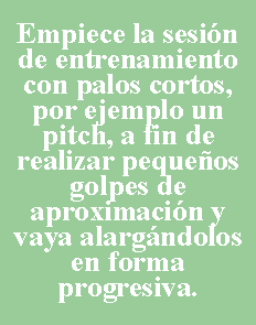 Cuadro de texto: Empiece la sesin de entrenamiento con palos cortos, por ejemplo un pitch, a fin de realizar pequeos golpes de aproximacin y vaya alargndolos en forma progresiva.